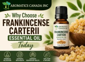 Frankincense Carterii Essential Oil