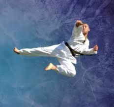 Martial Arts Chester hill