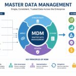 Master Data Management