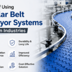 Modular Belt Conveyor