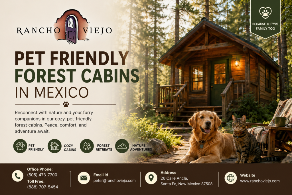Pet Friendly Forest Cabins in Mexico
