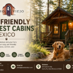 Pet Friendly Forest Cabins in Mexico