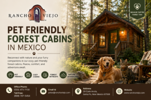 Pet Friendly Forest Cabins in Mexico