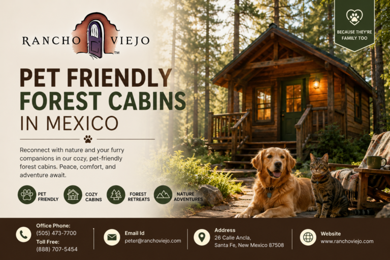 Pet Friendly Forest Cabins in Mexico