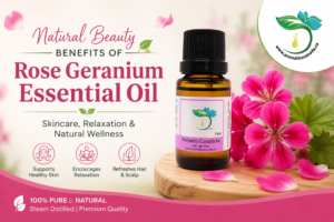 Rose Geranium Essential Oil