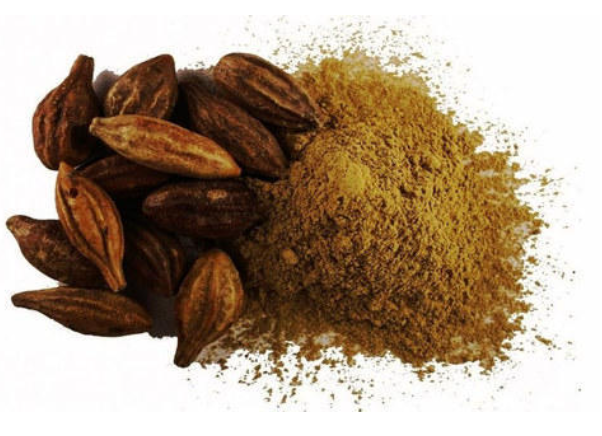 Terminalia Chebula Extract