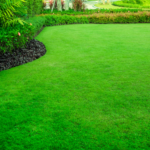 bestorangecountyturf