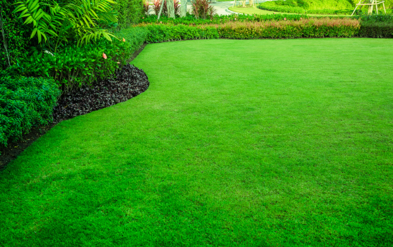 bestorangecountyturf