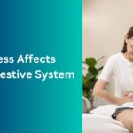Stress Impacts Your Digestive