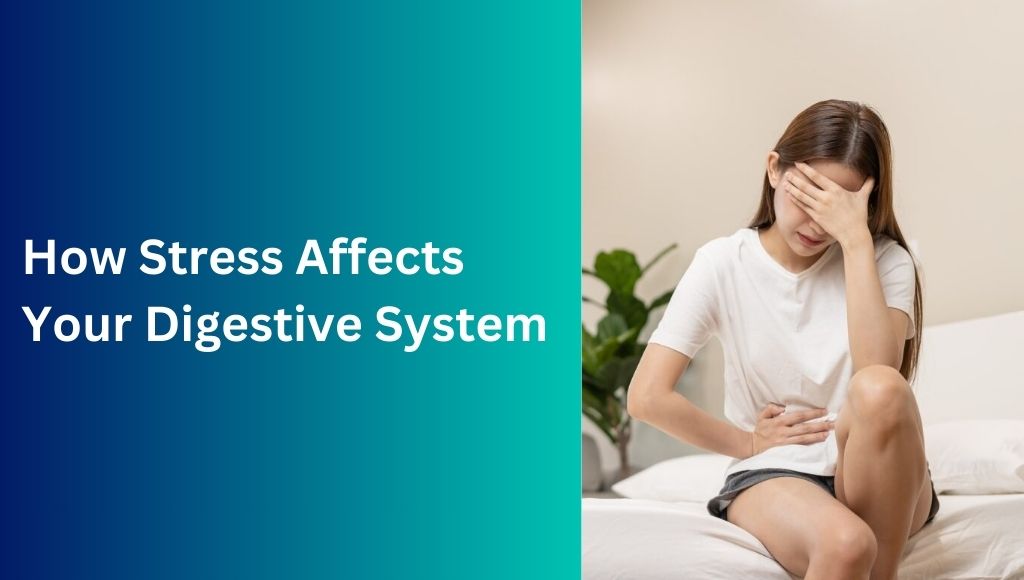 Stress Impacts Your Digestive