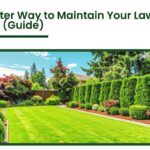 Well-maintained green lawn with trimmed hedges and landscaped garden in Auckland residential backyard