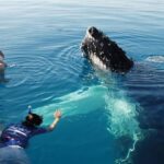 Whale Watching Gloucester MA