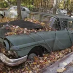 Cash For Clunkers Buyer