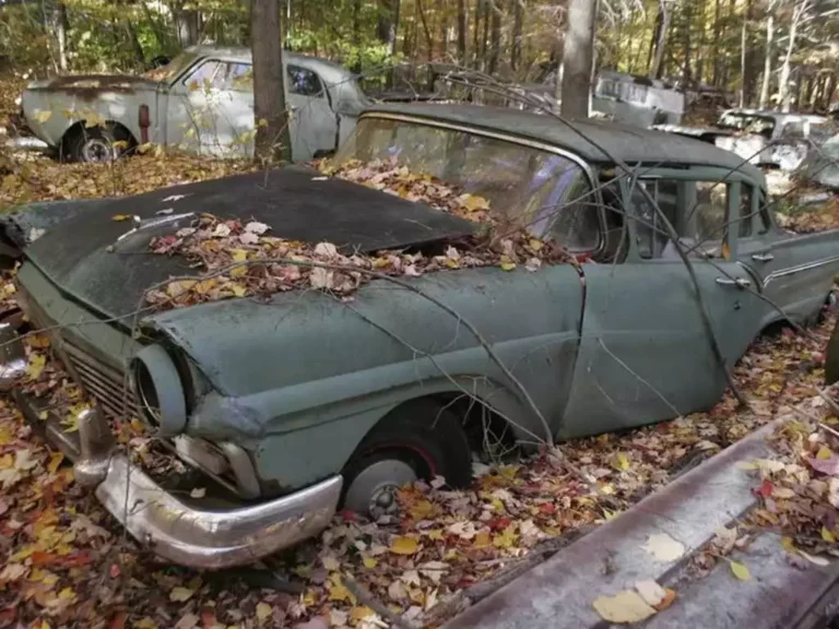 Cash For Clunkers Buyer