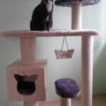 images (5)