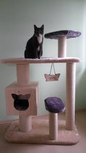 images (5)