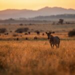 kenya and tanzania safari