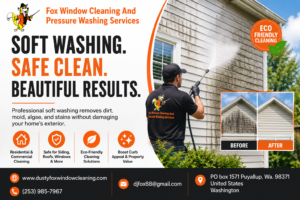 soft washing service near me