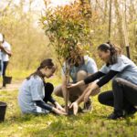 Florida Environmental Nonprofit Organization