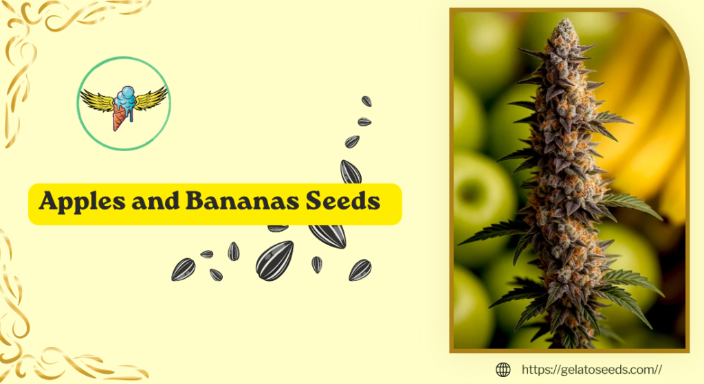 Apples and Bananas Seeds