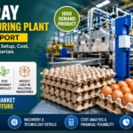 Egg Tray Manufacturing Plant