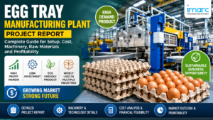 Egg Tray Manufacturing Plant