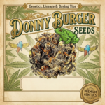 Donny Burger Seeds