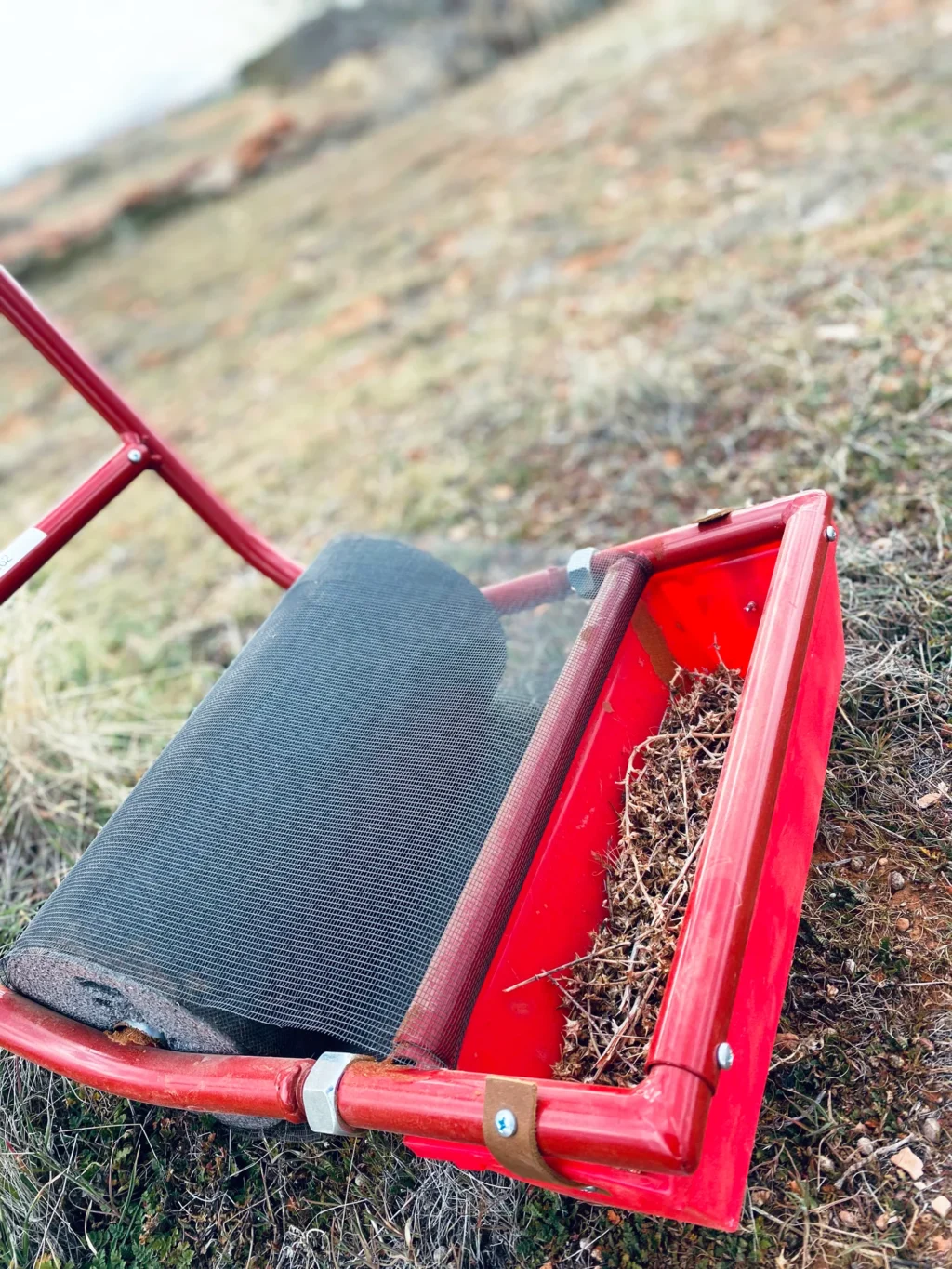 how to get rid of burr bushes