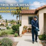Pest Control in La Mesa