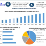 Vehicle Roadside Assistance Market