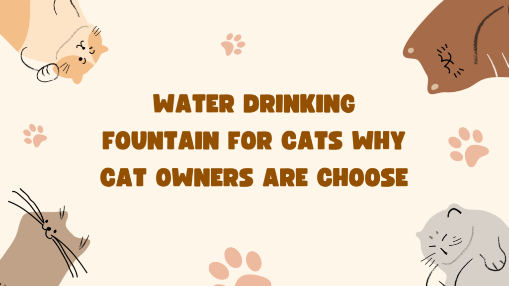 Water Drinking Fountain for Cats