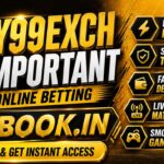 Secure online betting experience starts with a verified My99Exch ID