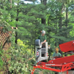 commercial landscaping strategies