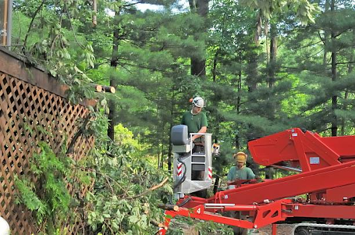 commercial landscaping strategies