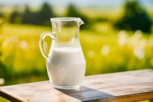 fresh milk uae4