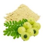 Amla Extract