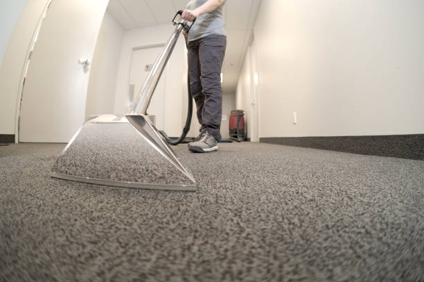 This is where professional services like Carpet Cleaning Fairfax become important. If you are looking for reliable, deep, and affordable carpet cleaning services in Fairfax