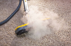 carpet cleaning Fairfax