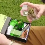 Late-Night Weed Delivery in Oakland: Everything You Need to Know