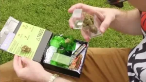 Late-Night Weed Delivery in Oakland: Everything You Need to Know
