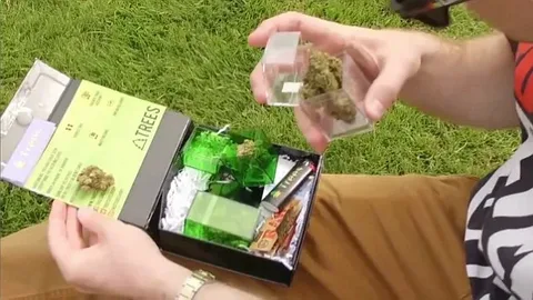 Late-Night Weed Delivery in Oakland: Everything You Need to Know