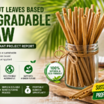 Dry Coconut Leaves Based Biodegradable Straw Manufacturing Plant