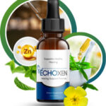 EchoXen