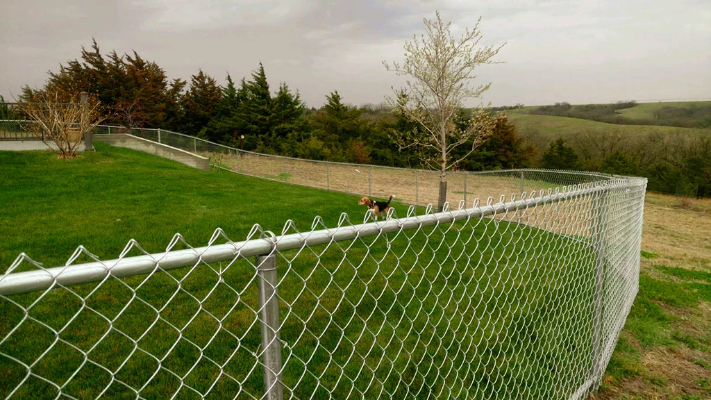 Pet Fence Installation Asheville