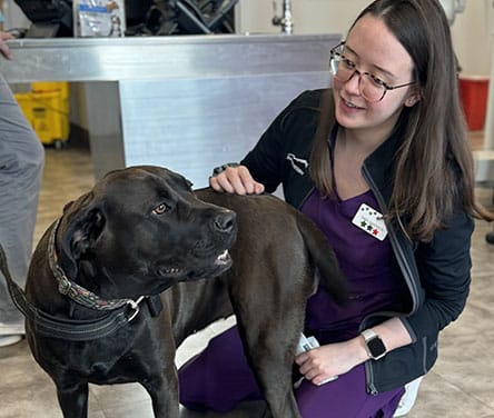Urgent Pet Care