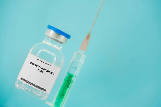 Growth Hormone Research