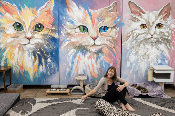 Pet Art