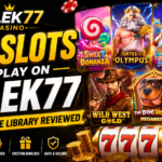 RILEK77