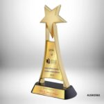 Corporate trophy manufacturers in India offering custom awards