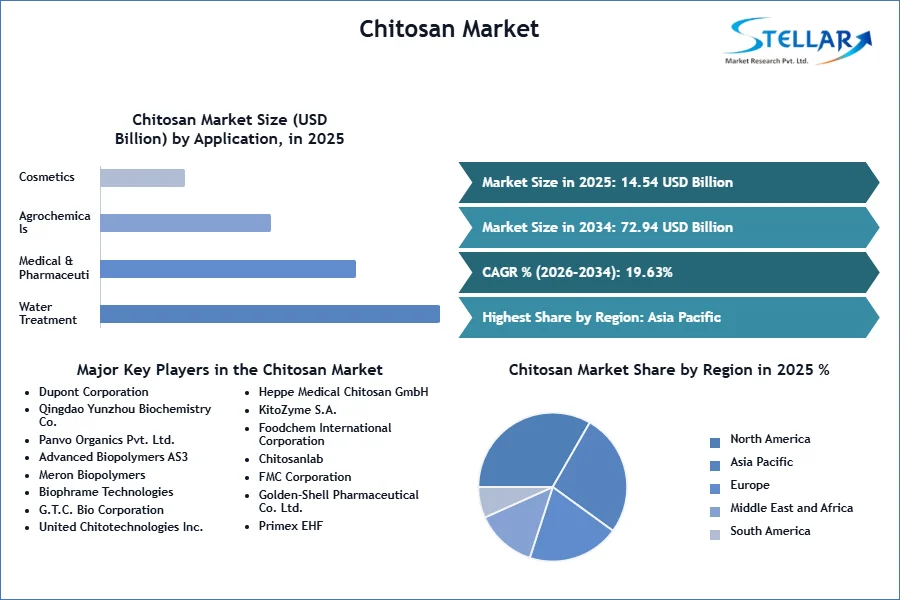 Chitosan-Market-SMR-Snapshot